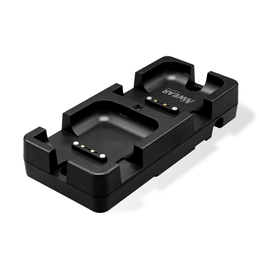 Newland charging station, 2 slots (CD50)