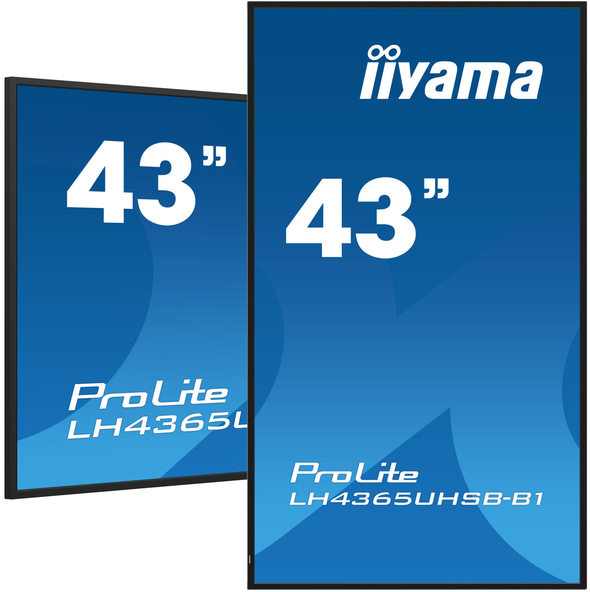 iiyama ProLite LH4365UHSB-B1 43" 4K Digital Signage Display – official product photo 1 (LH4365UHSB-B1)