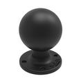 RAM Mounts apaļa AMPS plāksne ar lodi, D izmērs (RAM-D-254U)