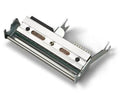 Honeywell spare drukas galva, 12 dots/mm (300dpi) (50178575-001)