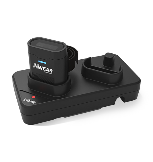 Newland charging station, 2 slots (NLS-SCD20)